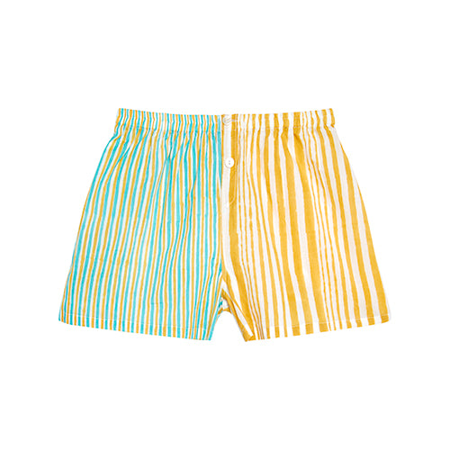 Shiva Blue Striped Shorts